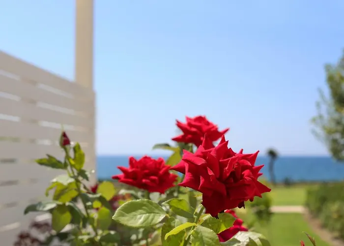 Mareggio Exclusive Residences &