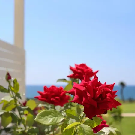 Mareggio Exclusive Residences &